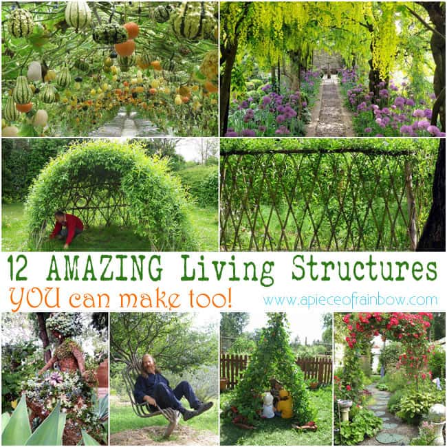 Amazing Living Structures | A Piece of Rainbow