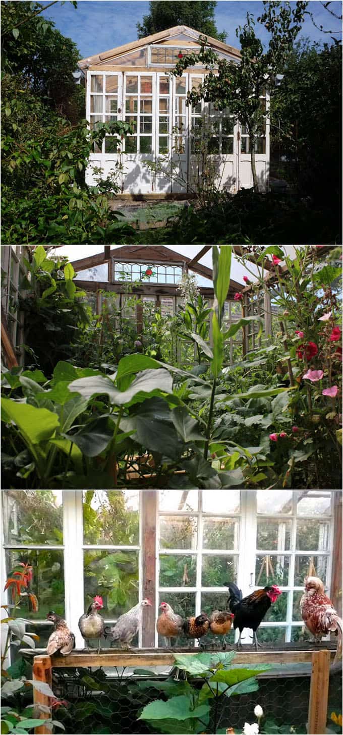 DIY-Greenhouses-apieceofrainbow (6)