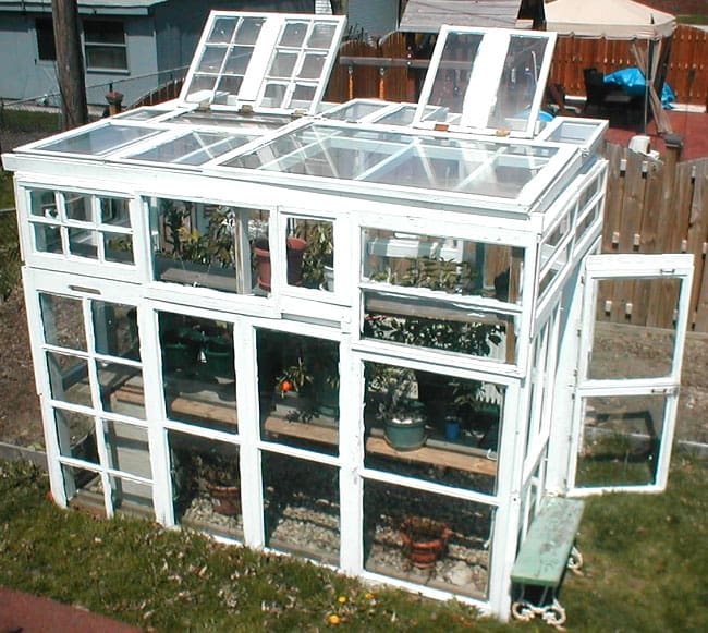 DIY-Greenhouses-apieceofrainbowblog (15)