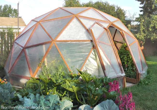 DIY-Greenhouses-apieceofrainbowblog (16)