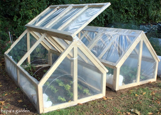 21 DIY Greenhouses with Great Tutorials - A Piece of Rainbow