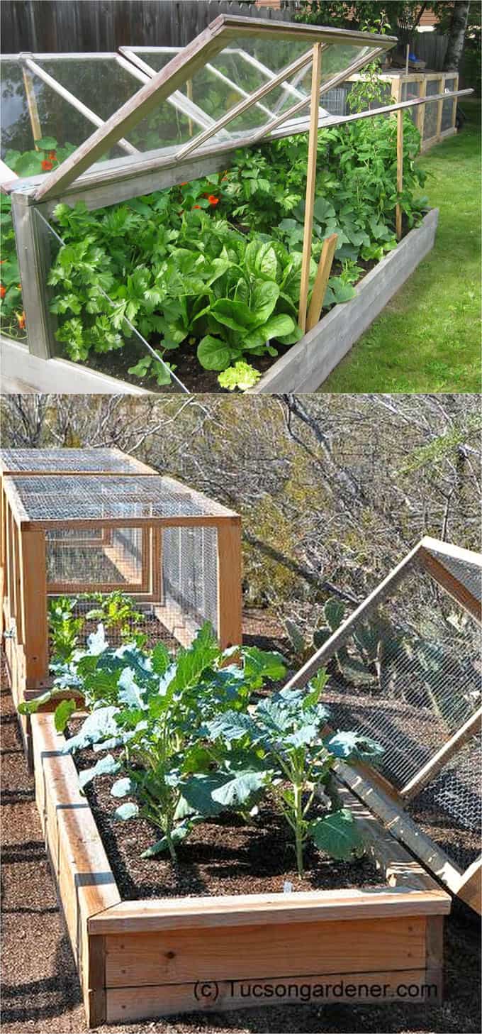 Hinged top cold frames and DIY greenhouses