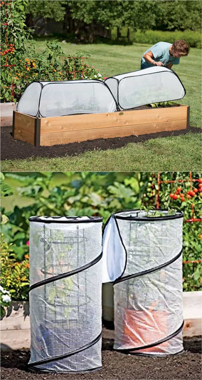Collapsible Small Greenhouses