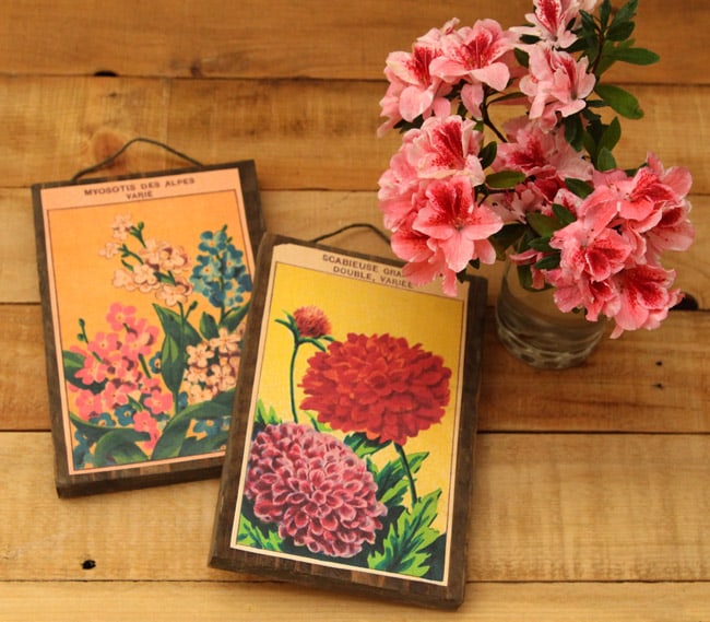 Make wall art from Free printable vintage French seed packets and scrap wood! | A piece of rainbow blog