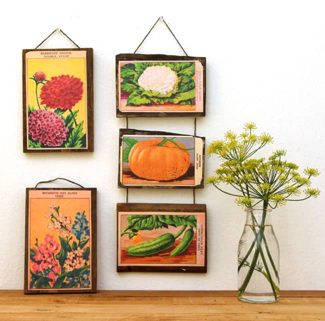 vintage-seed-packet-wall-art-apieceofrainbow (11)