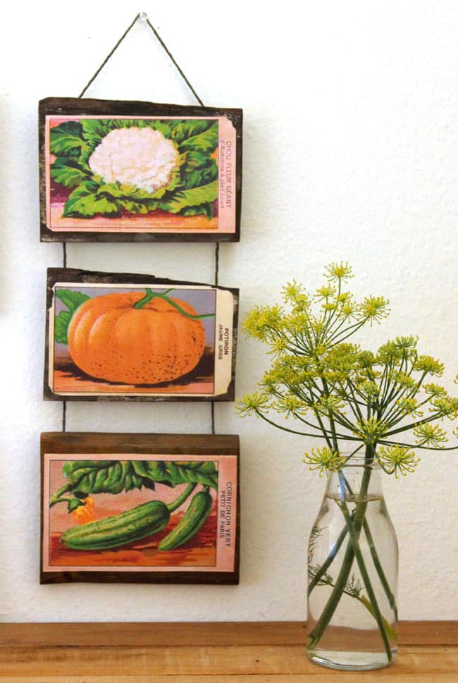 vintage-seed-packet-wall-art-apieceofrainbow (12)