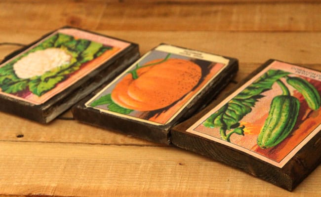 vintage-seed-packet-wall-art-apieceofrainbow (13)