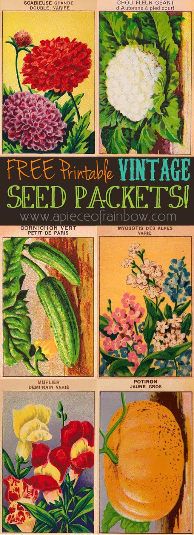 Free Printable Vintage French Seed Packets Wall Decor
