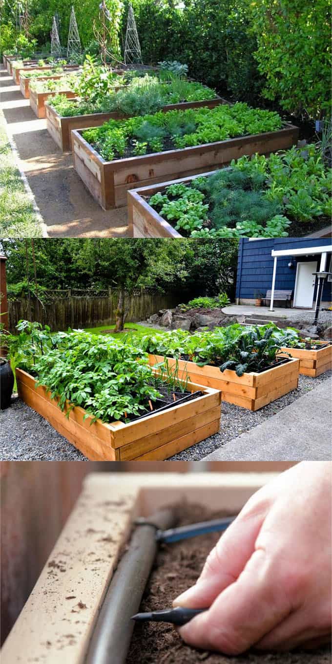 watering systems for DIY raised bed gardens