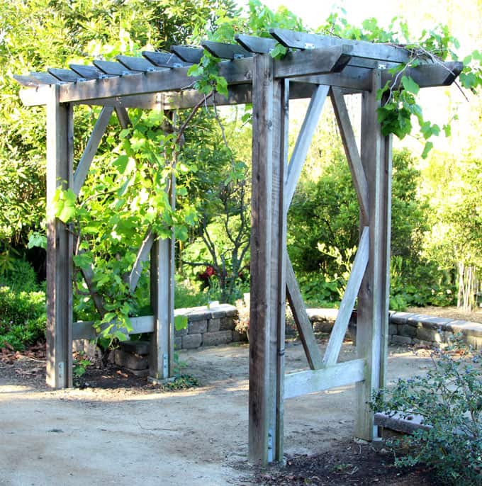Simple DIY Pergola ( Grape Arbor ): Free Building Plan - A ...