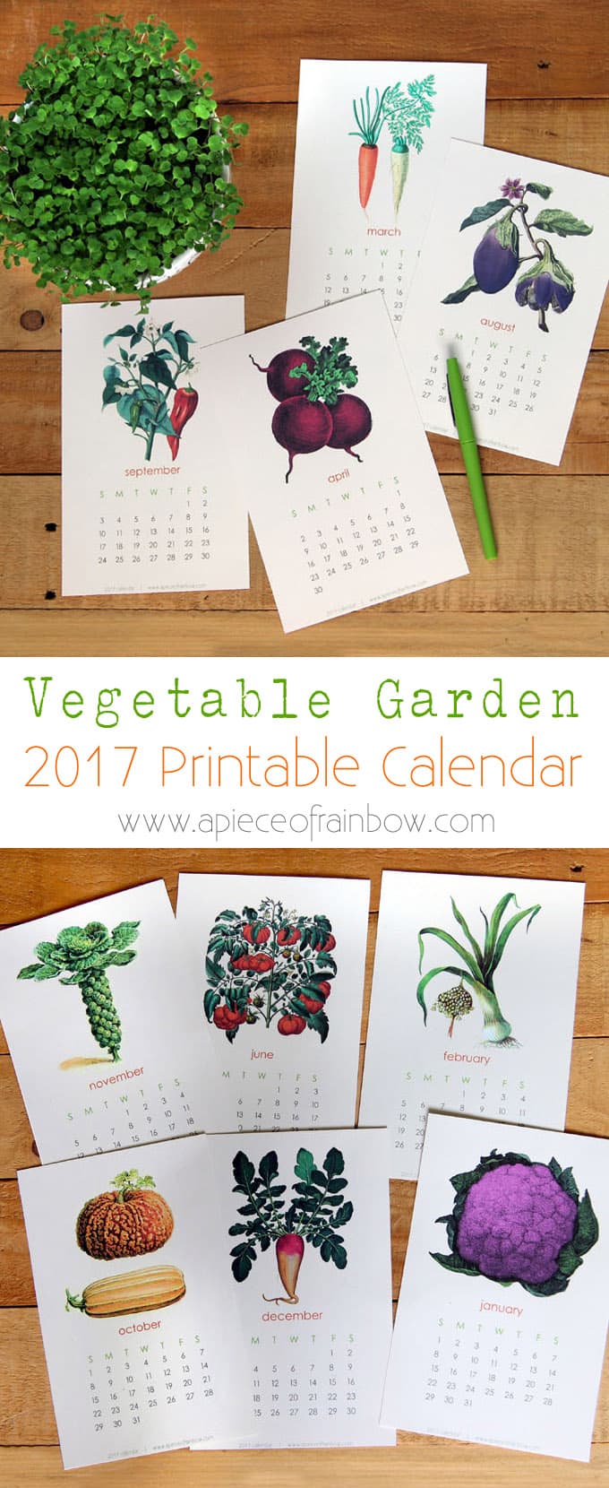 2017-printable-vegetable-garden-calendar-1