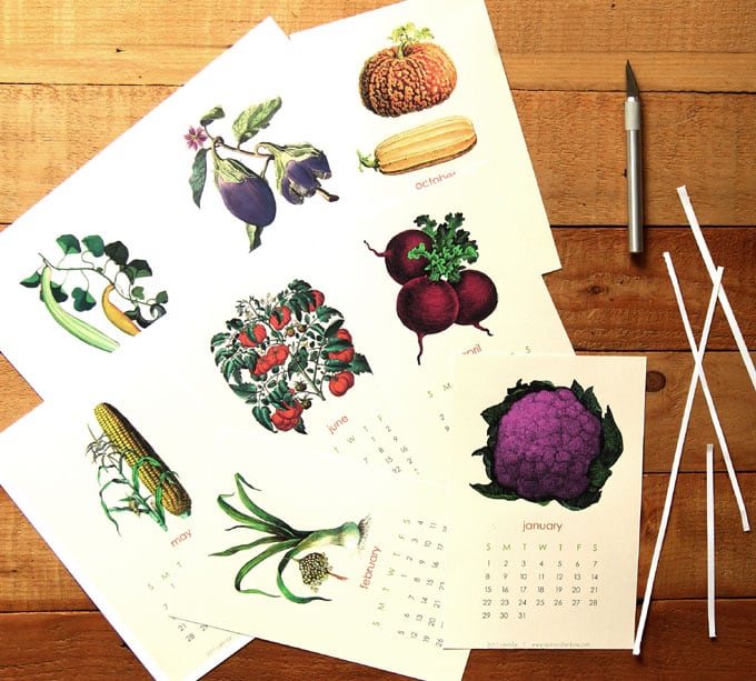 2017-printable-vegetable-garden-calendar-2