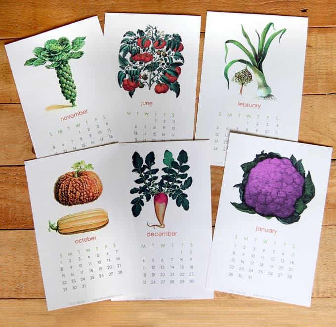 2017-printable-vegetable-garden-calendar-3