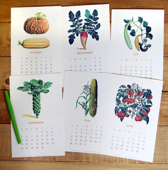 2017-printable-vegetable-garden-calendar-5