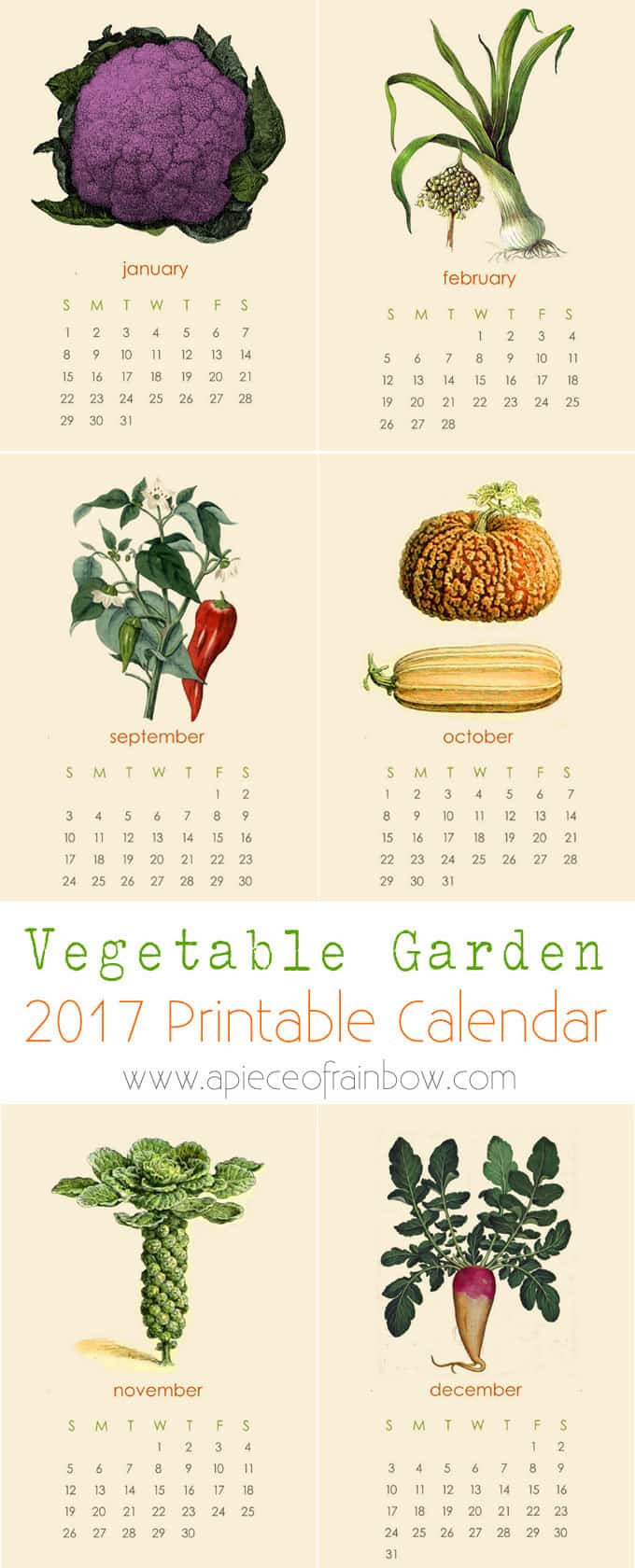 A set of printable 2017 vegetable garden calendar with beautiful vintage illustrations! Use as wall or desk calendar. Great gift for garden and art lovers! - A Piece Of Rainbow