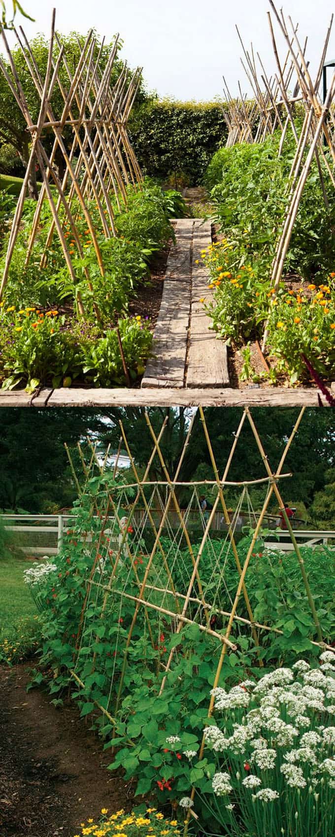 21 Easy DIY Garden Trellis Ideas & Vertical Growing ...