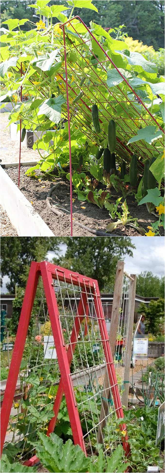 21 Easy DIY Garden Trellis Ideas & Vertical Growing Structures - A