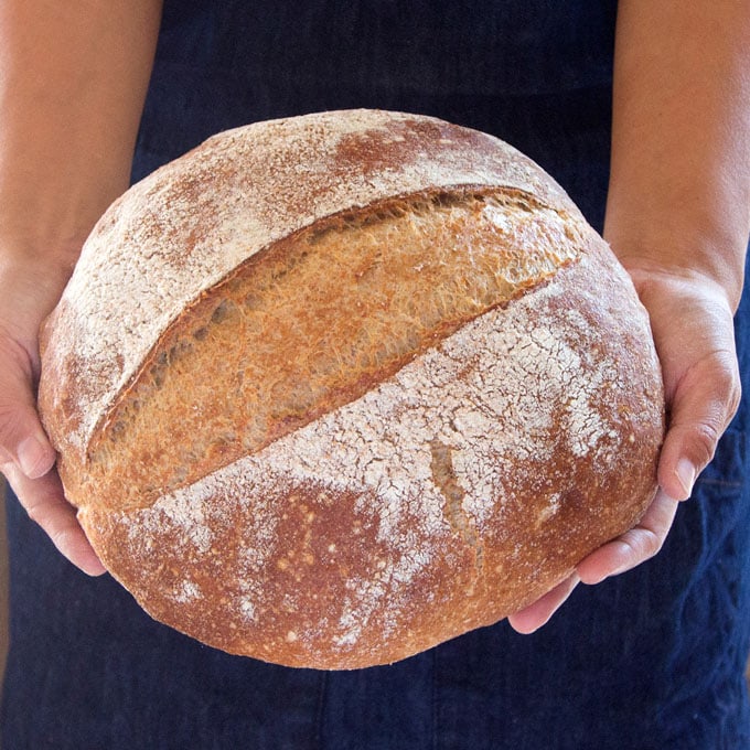 homemade whole grain no knead bread