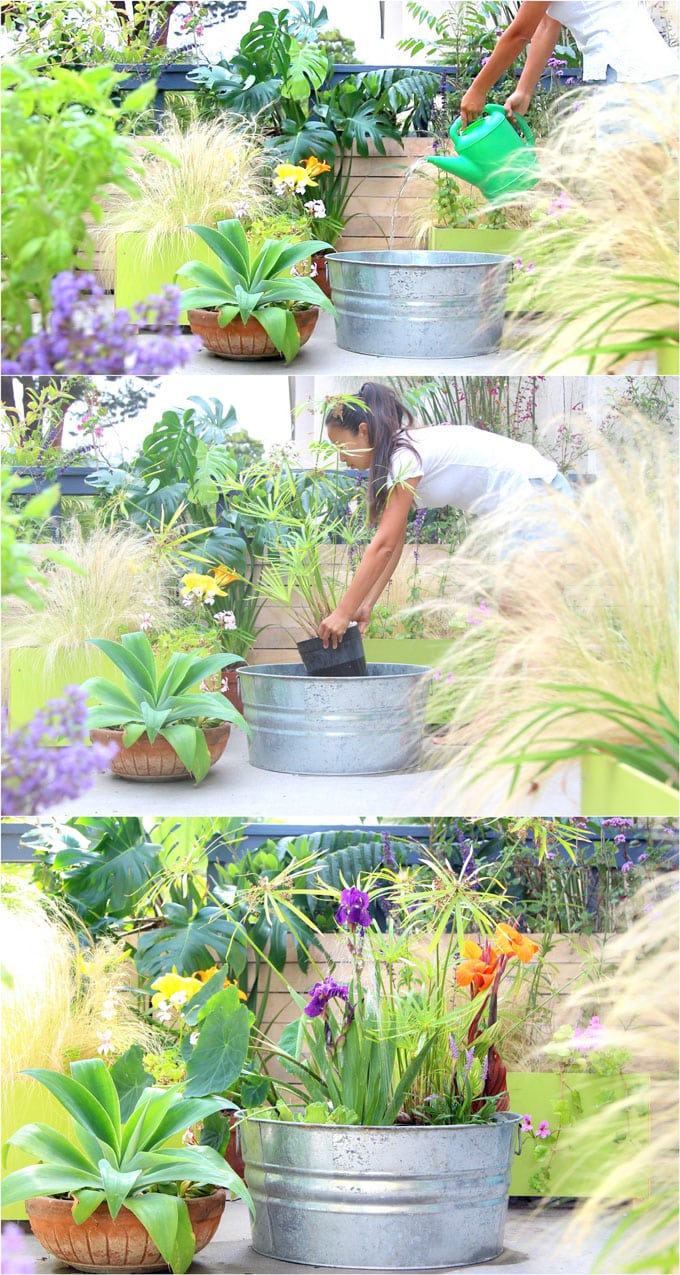Easy DIY Solar Fountain In 1 Hour With Pond Water Plants A