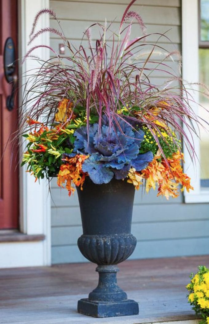 fall container garden urn with peppers, grasses, and cabbage on front porch