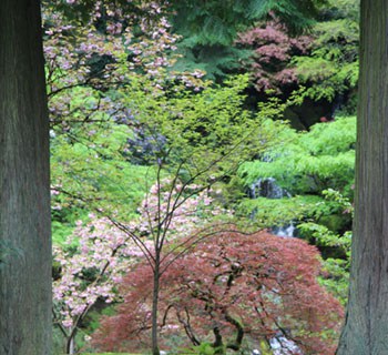 Travel Portland - Japanese Garden - A Piece Of Rainbow