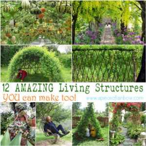 Grow your own garden decorations that are living, functional and beautiful. Unique garden decor ideas on how to create magical living structures and accents such as grass sofa, tree chair, grape tunnel, bean teepee, willow dome, living fence, and more! - A Piece Of Rainbow