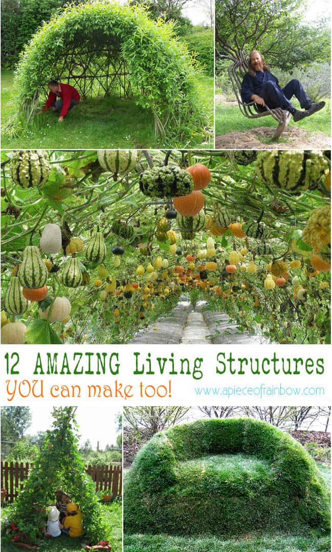 Tutorials and ideas on how to create magical living structures such as grape tunnel, bean teepee, grass sofa, willow dome, living fence, and much more! - A Piece Of Rainbow