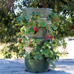 DIY Strawberry Tower with reservoir! | A Piece Of Rainbow Blog