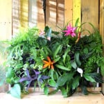 Build a stunning tropical living wall with pallet! | A Piece Of Rainbow