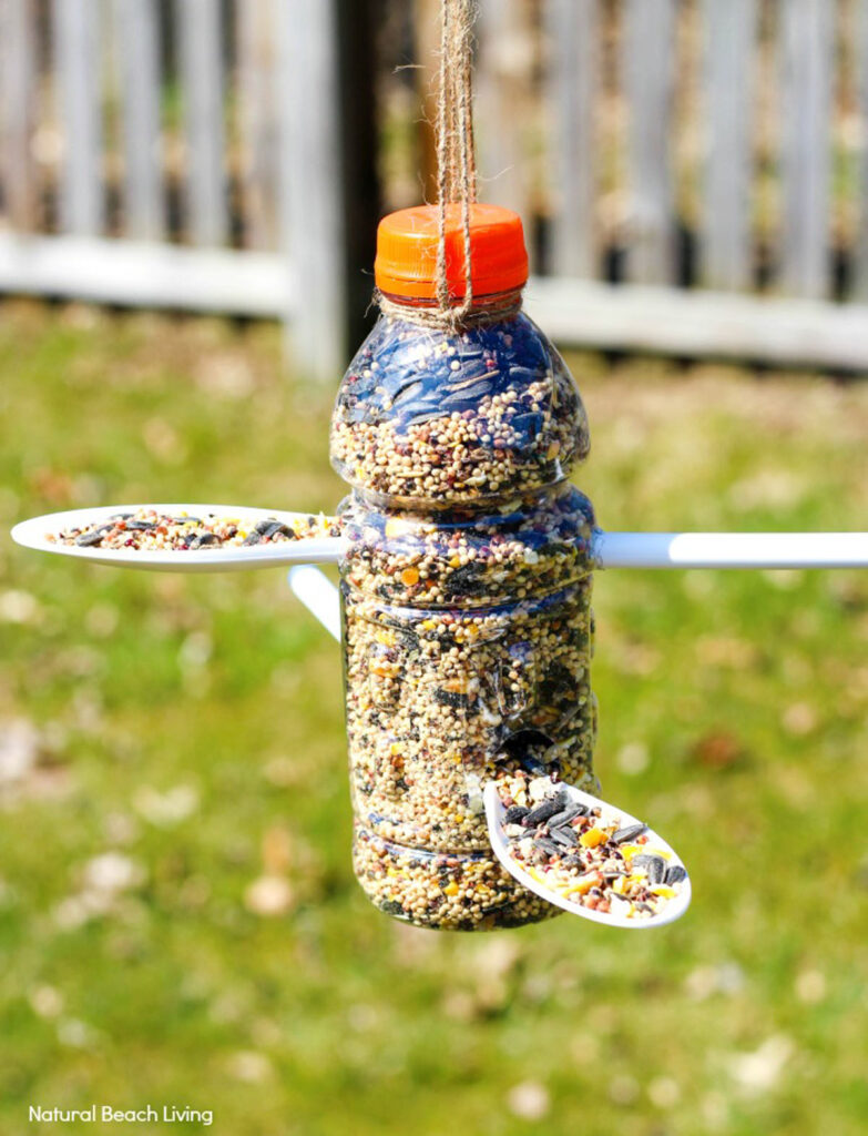 Reuse plastic bottle to make a bird feeder