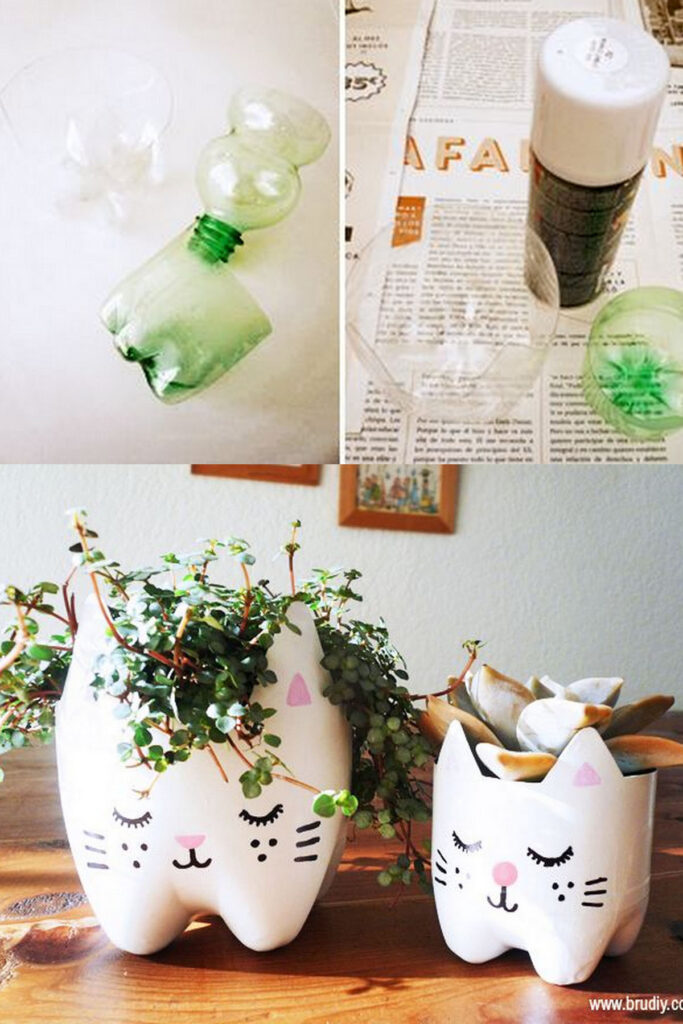 Soda bottle cat planter crafts