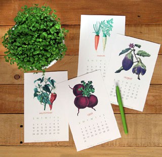 A set of printable 2017 vegetable garden calendar with beautiful vintage illustrations! Use as wall or desk calendar. Great gift for garden and art lovers! - A Piece Of Rainbow