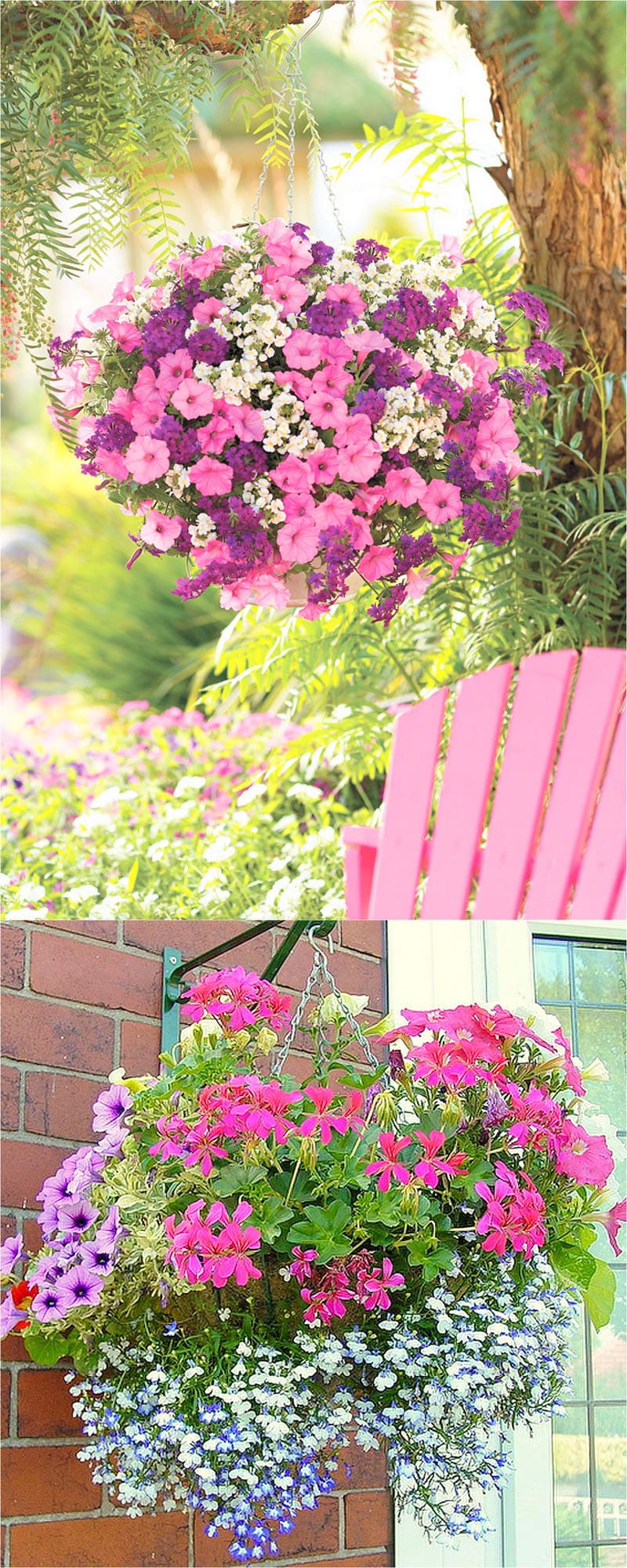 How to Plant Beautiful Flower Hanging Baskets ( & 20+ Best Hanging