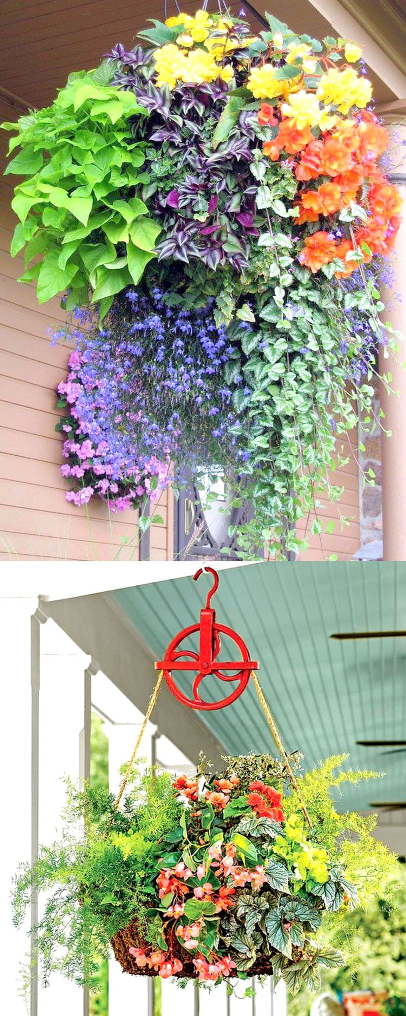 how to plant beautiful flower hanging baskets ( & 20+ best hanging