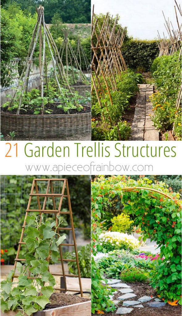 24 Easy DIY Garden Trellis Ideas & Plant Structures - A Piece of