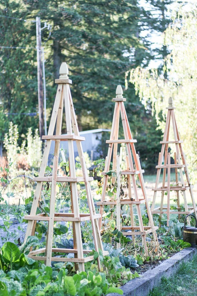 24 Easy Diy Garden Trellis Ideas, Wooden Garden Trellis Plans