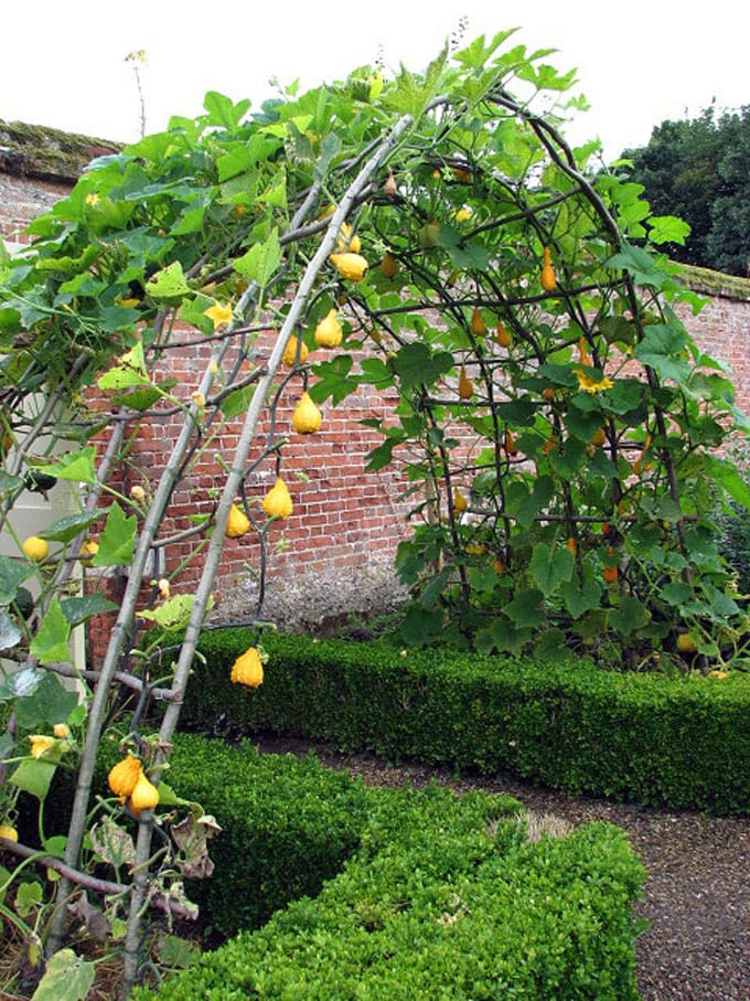 24 Easy Diy Garden Trellis Ideas, How To Build An Arched Garden Trellis