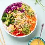 10 Minute Rainbow Chicken Pasta Salad: peanut sauce noodles packed with amazing flavors, nutritious ingredients, fresh vegetables, dressed with a dangerously addictive Flavor Bomb Thai Peanut Sauce. It's an easy weeknight dinner and great meal prep recipe with vegetarian and vegan variations. - A Piece of Rainbow