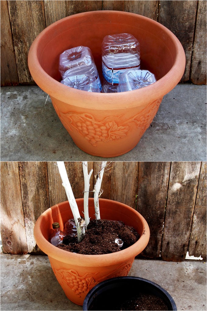 filling planter with soil