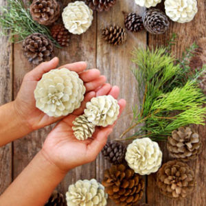 Make beautiful "bleached pinecones" in 5 minutes without bleach! Non-toxic & easy DIY craft, perfect for fall, winter, Thanksgiving & Christmas decorations!