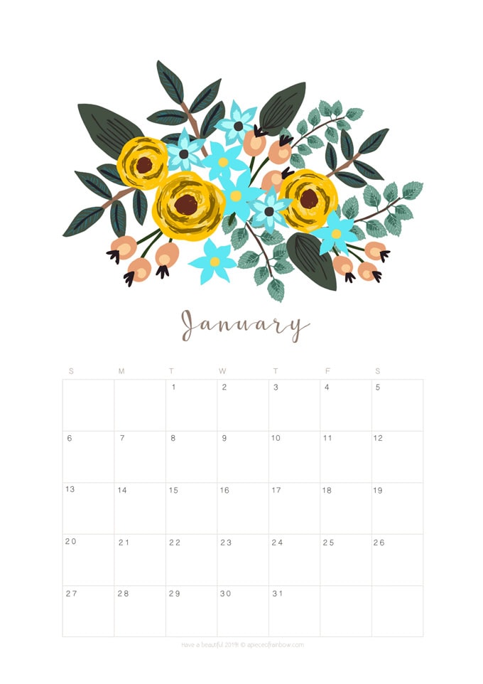 Printable January 2019 Calendar Monthly Planner {2 Designs
