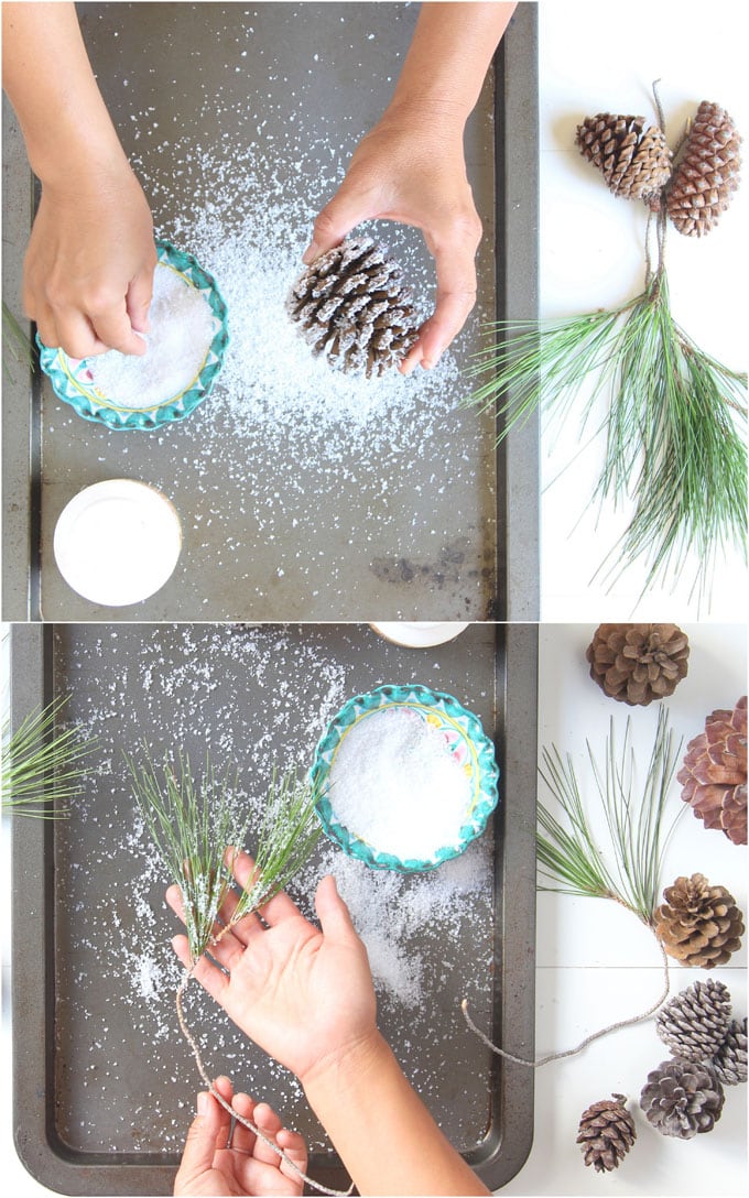sprinkle salt onto the glue coated pine cone and branch 