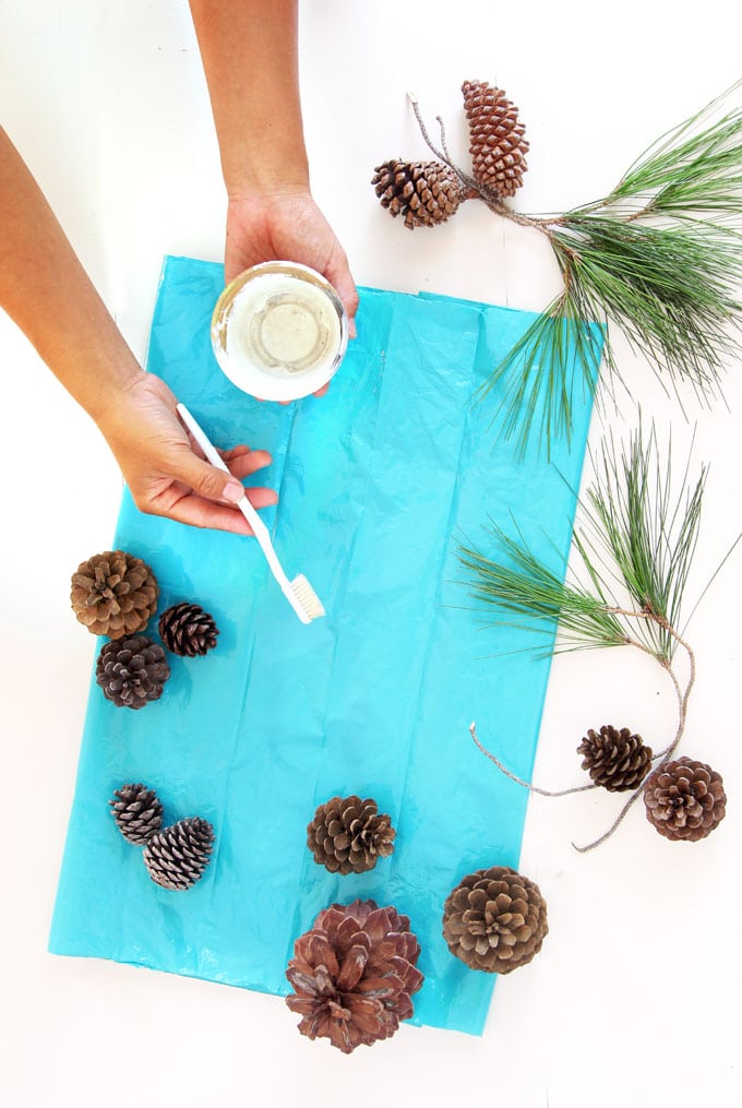 How to make DIY snow covered pine cones & branches with paint and a tooth brush.