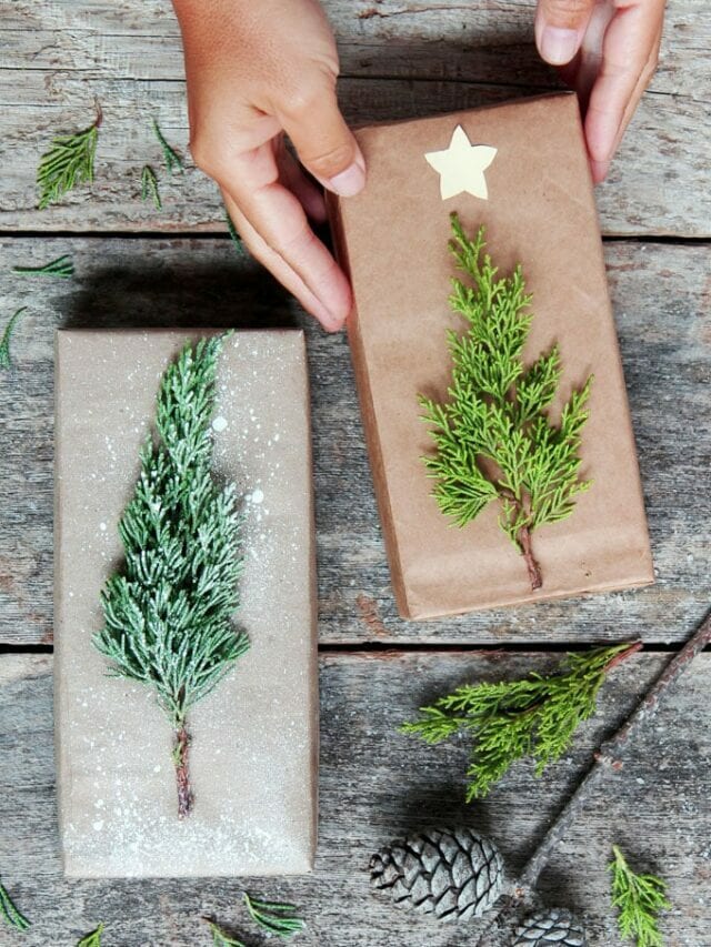 Gorgeous & Free DIY Christmas Gift Wrapping Ideas
