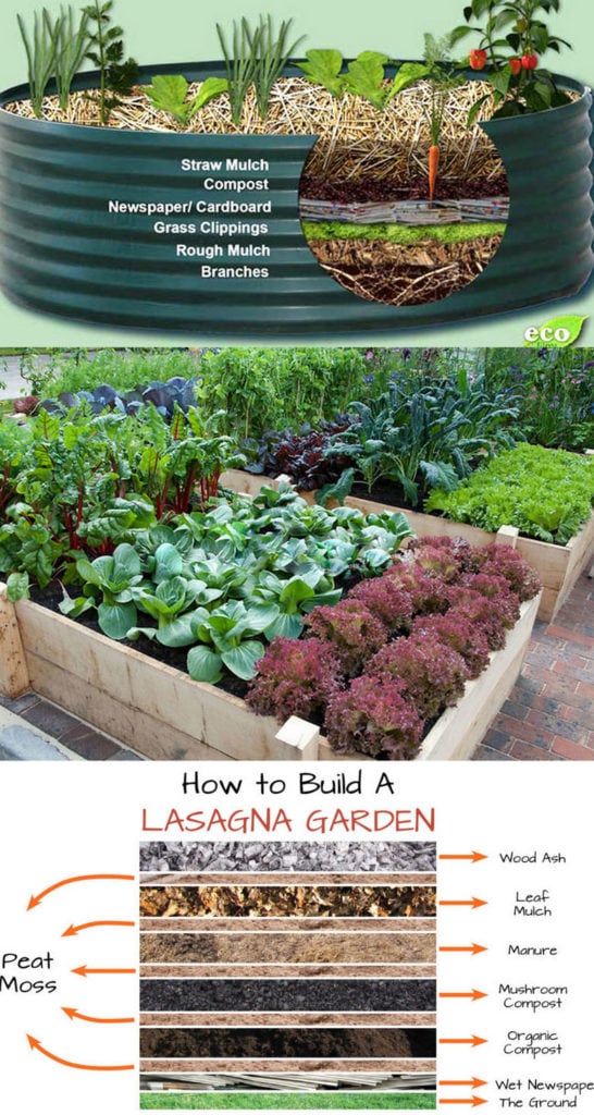28 Best Diy Raised Bed Garden Ideas, How To Build Raised Vegetable Garden