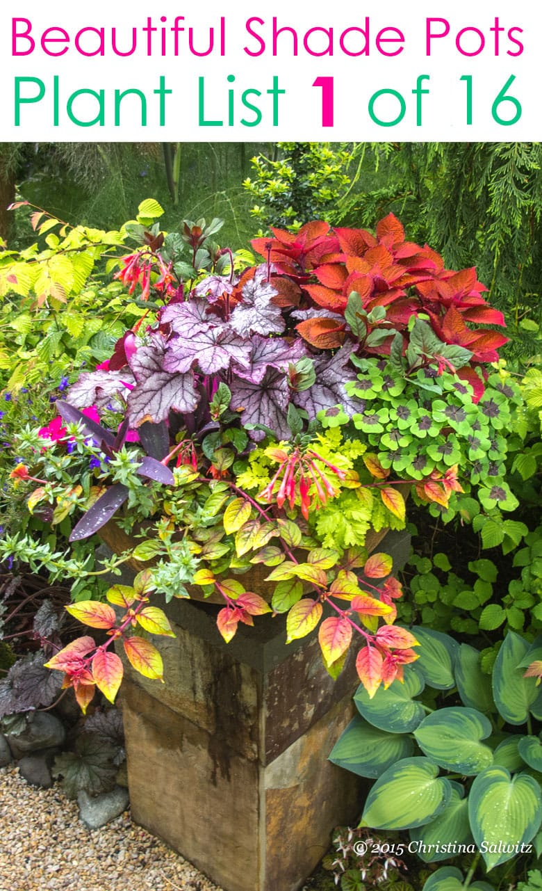 16 Colorful Shade Garden Pots & Plant Lists - A Piece Of Rainbow