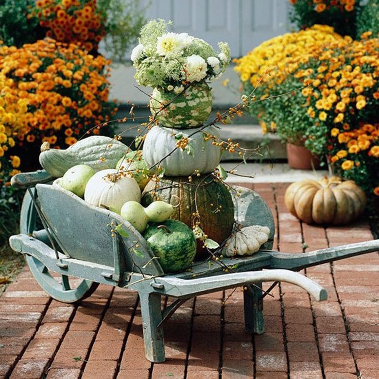 Mums mixed with pumpkins autumn decor outside