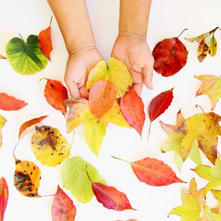 Make beautiful leaf prints art with real leaves on paper or fabric! Easy arts & crafts project for kids, DIY home decor & gifts for fall, Thanksgiving & all year!