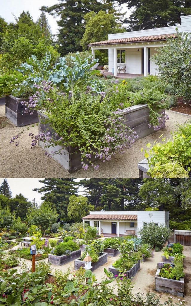 Vegetable Garden Layout 7 Best Design, Front Yard Vegetable Garden Ideas