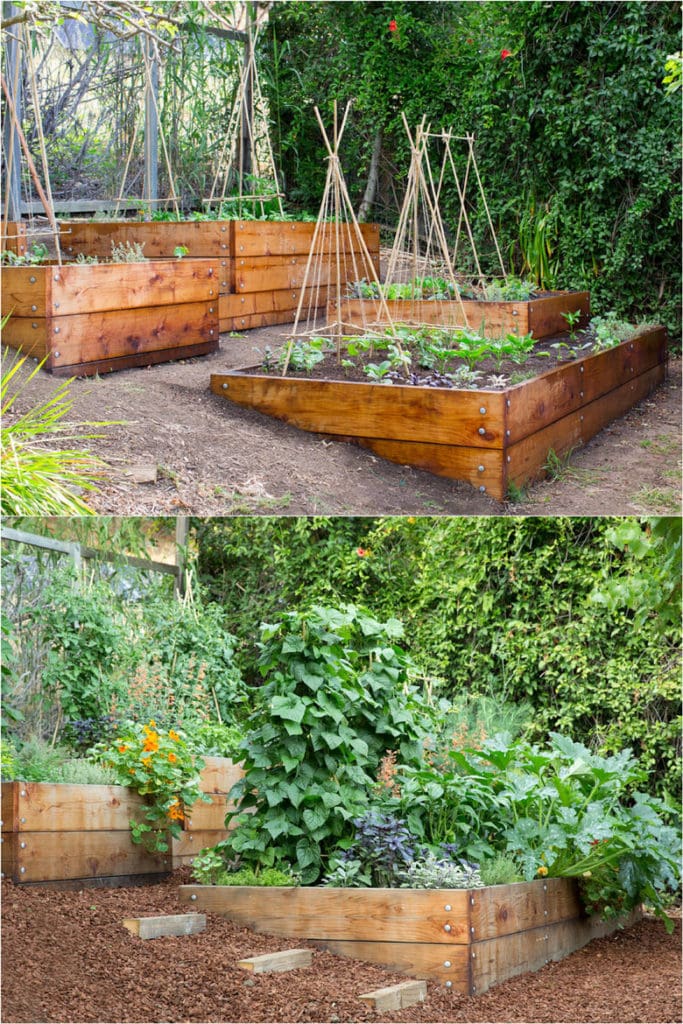 II. Benefits of Using Layout Ideas for Vegetable Garden Beds